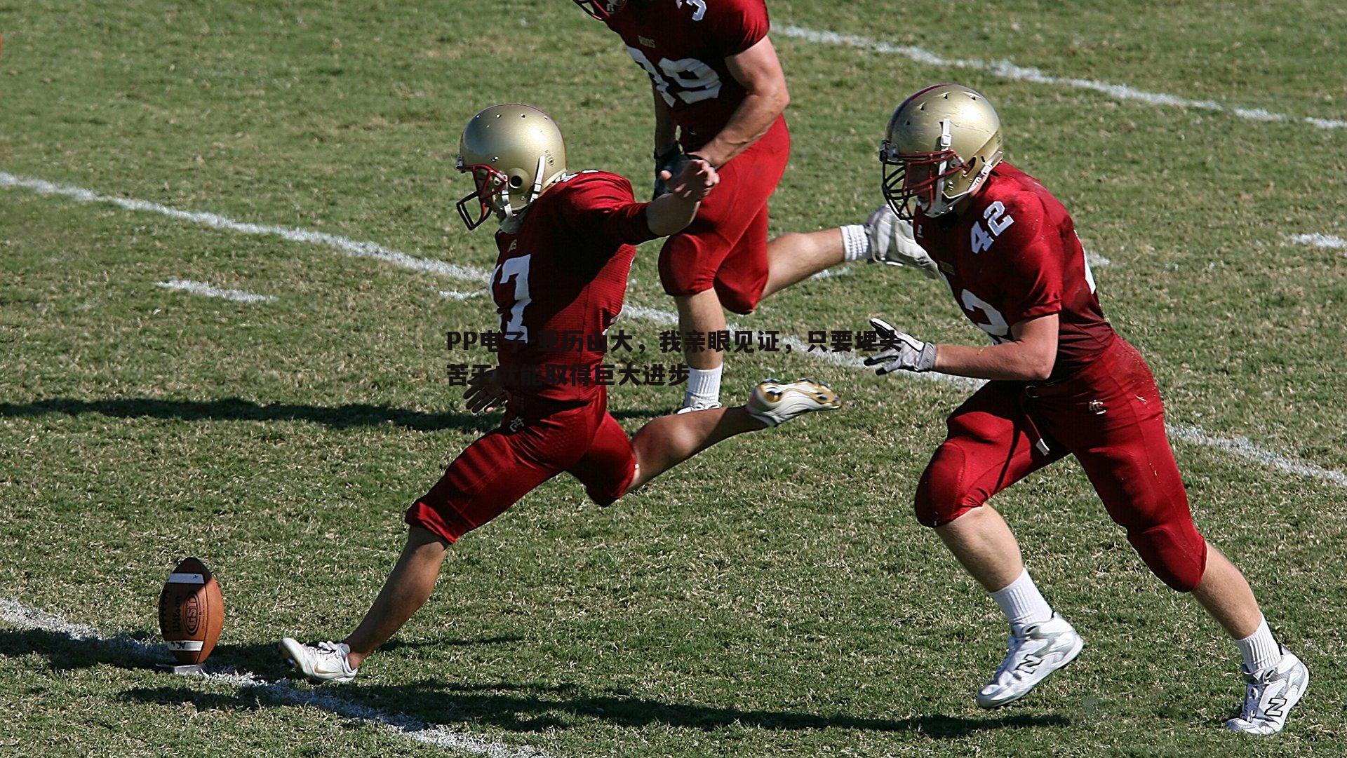 亚历山大,我亲眼见证,只要埋头苦干就能取得巨大进步